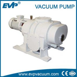 ZJ Roots Vacuum Pump